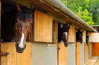 free Newborough stable construction quotes